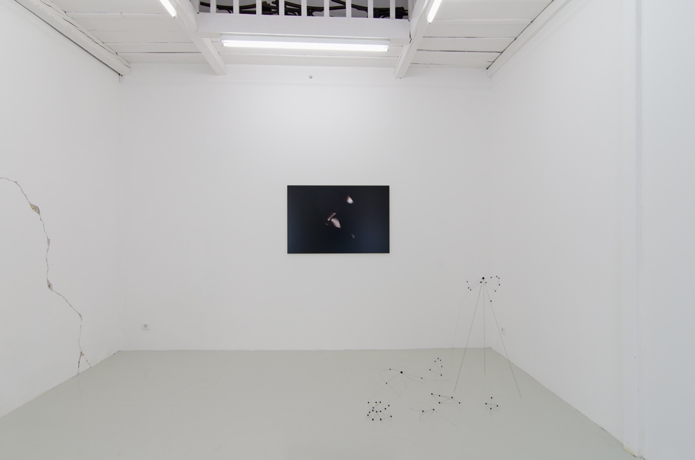 http://www.wellwellwell.at/files/gimgs/th-37_37_reportsfromspeciesofspaces004.jpg